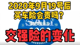 探索特色车险小店，最新折扣与隐藏宝藏之旅