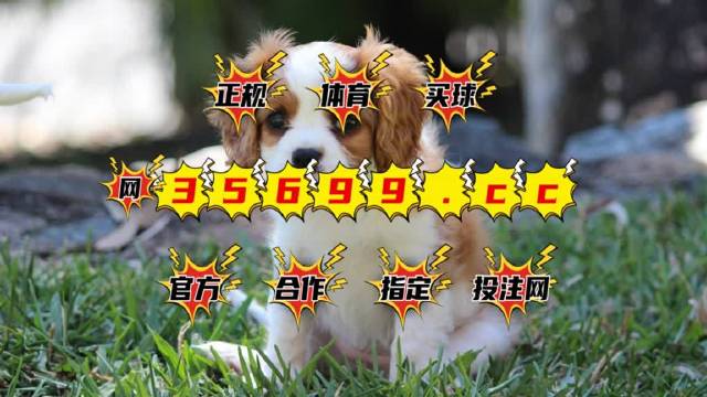 今晚澳门特马开什么号码342,专业解读评估_XOR34.672专属版