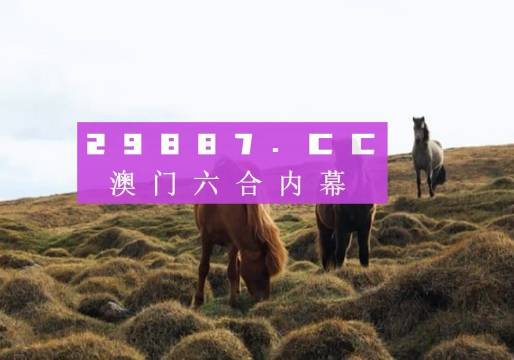 2023澳门一肖一码,专业地调查详解_UXM34.334可靠性版