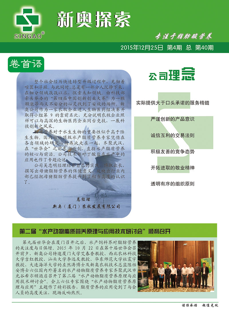 新澳2024年精准正版资料,高效执行方案_JSR34.217人工智能版