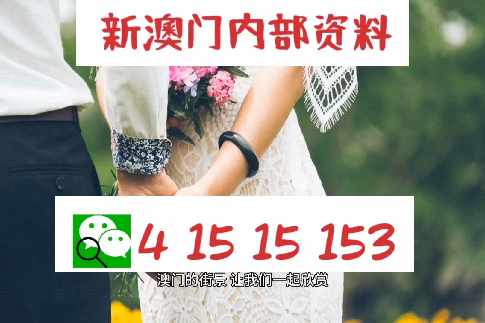 今晚澳门码特开什么号码,快速解决方式指南_UEI34.856轻奢版