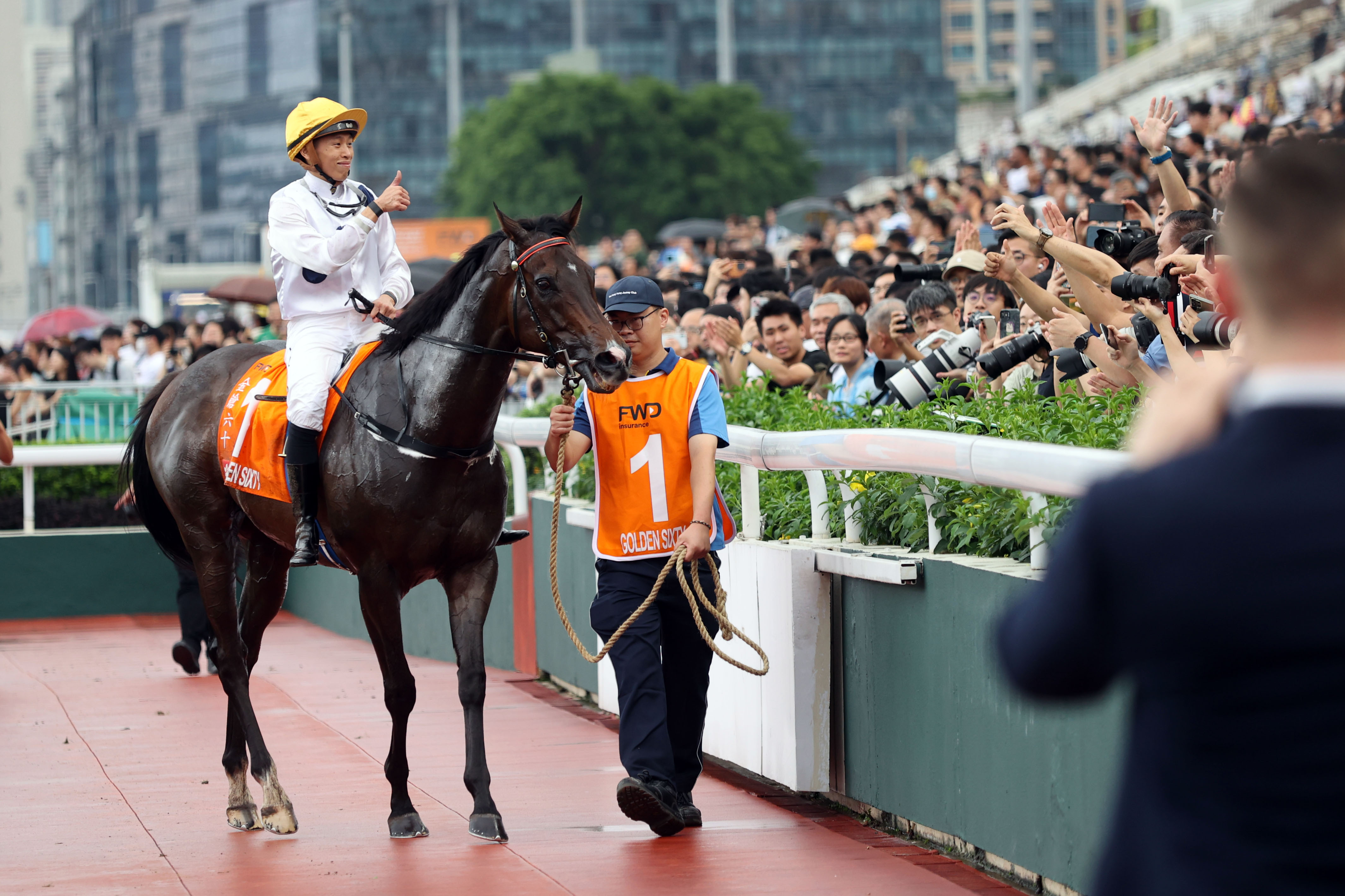 2024年香港买马资料,实时数据分析_DLC34.453互助版