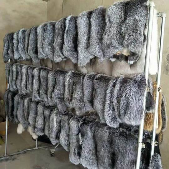 诸城貂皮市场最新行情，走势分析、价格解读与未来投资展望