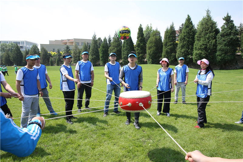 拓展最新项目，深度解析与观点论述