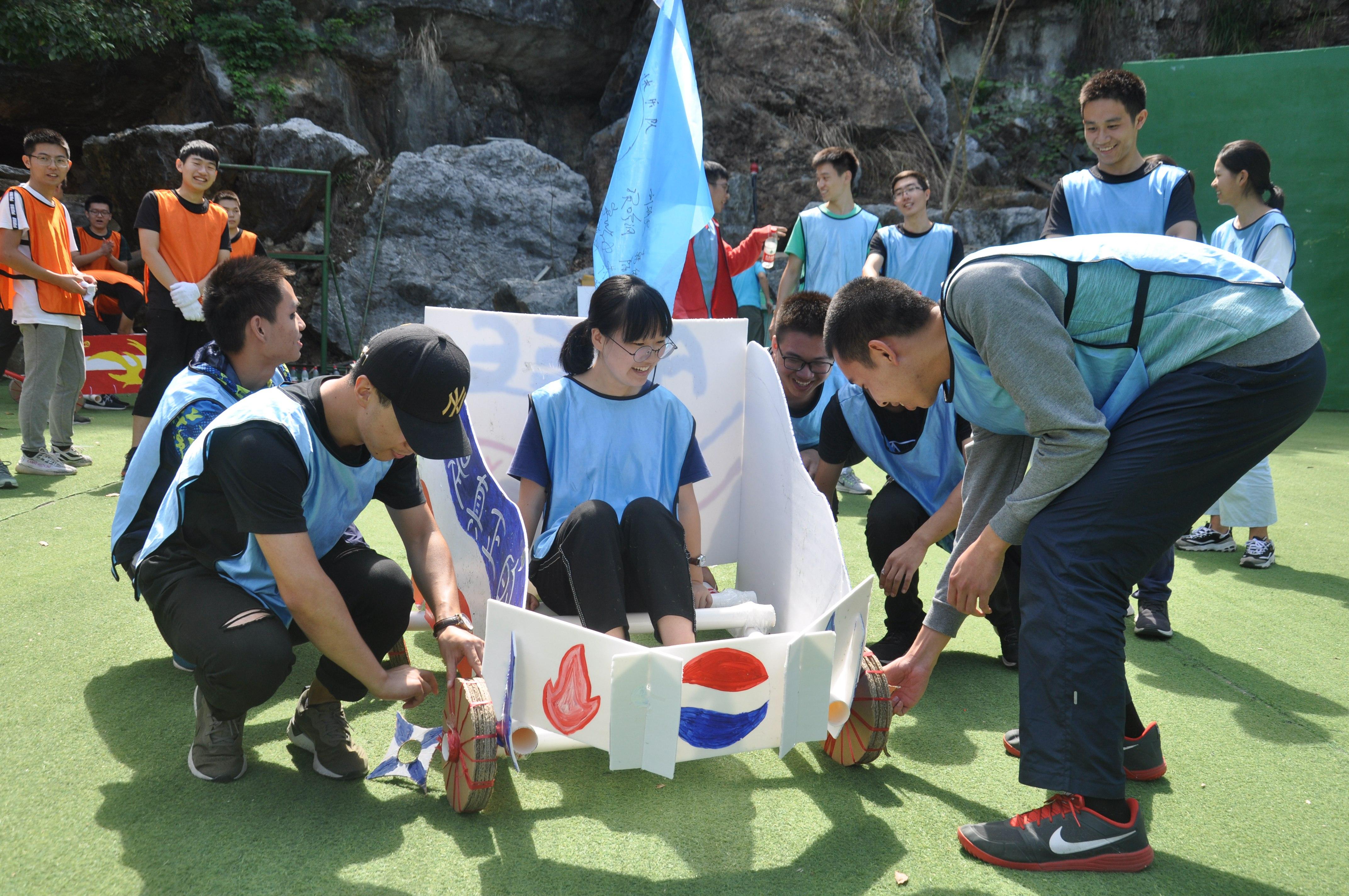 拓展最新项目,深度解析与观点论述