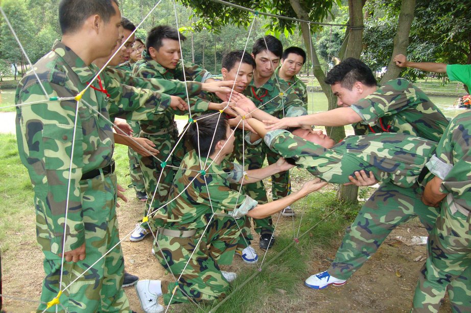 拓展最新项目,深度解析与观点论述