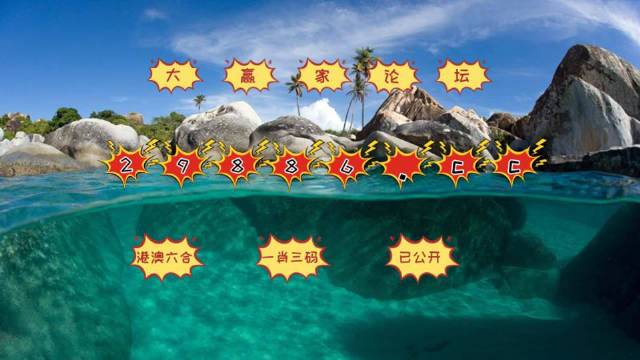 新澳门天天开奖结果,数据解析引导_VBL49.878零障碍版