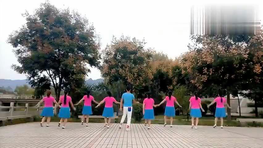 Z最新广场舞,从入门到精通的详细步骤指南