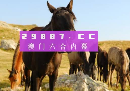 今晚澳门管家婆正版资料,数据整合解析计划_AKC49.402品味版