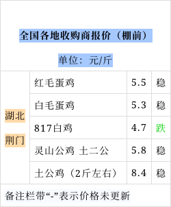 土鸡最新行情分析与价格概览