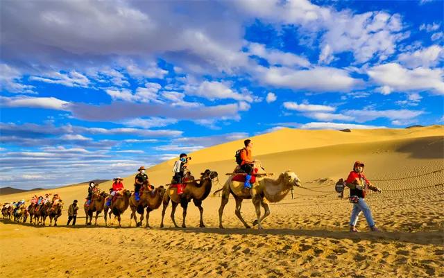 产品展示 第336页