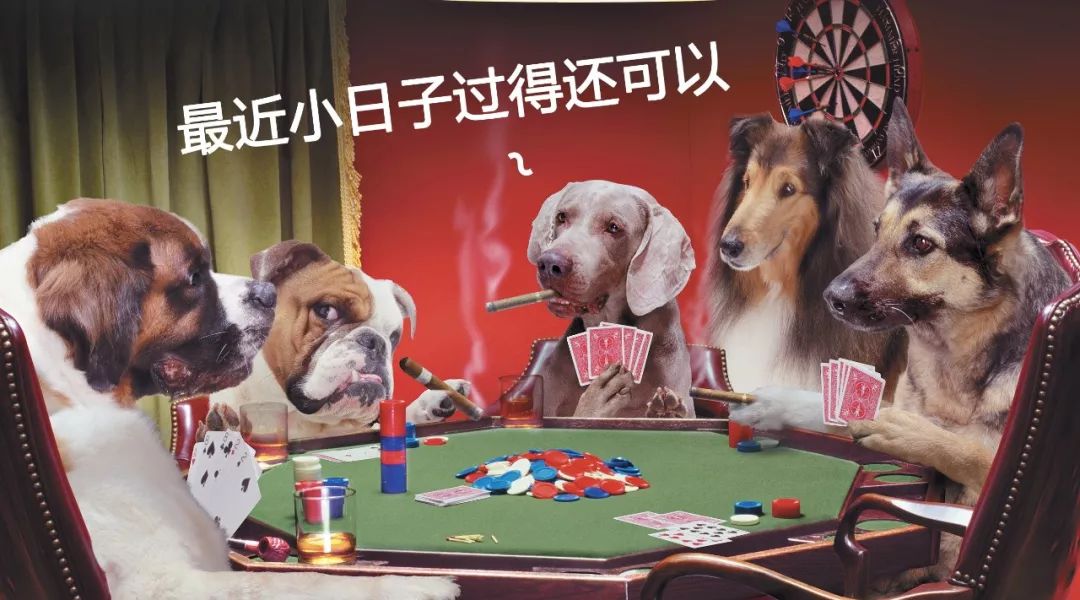 四不像正版+正版四不像凤凰,决策支持方案_BXV49.355模块版