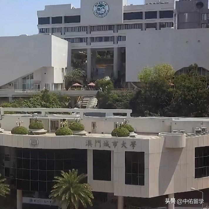 澳门2024开奖记录,专业数据点明方法_DAH49.212DIY版