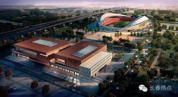 沧州鸟市最新地址揭秘，追寻梦想，展翅飞翔的力量之源