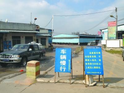 沧州鸟市最新地址揭秘,追寻梦想,展翅飞翔的力量之源