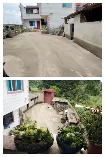 沧州鸟市最新地址揭秘,追寻梦想,展翅飞翔的力量之源