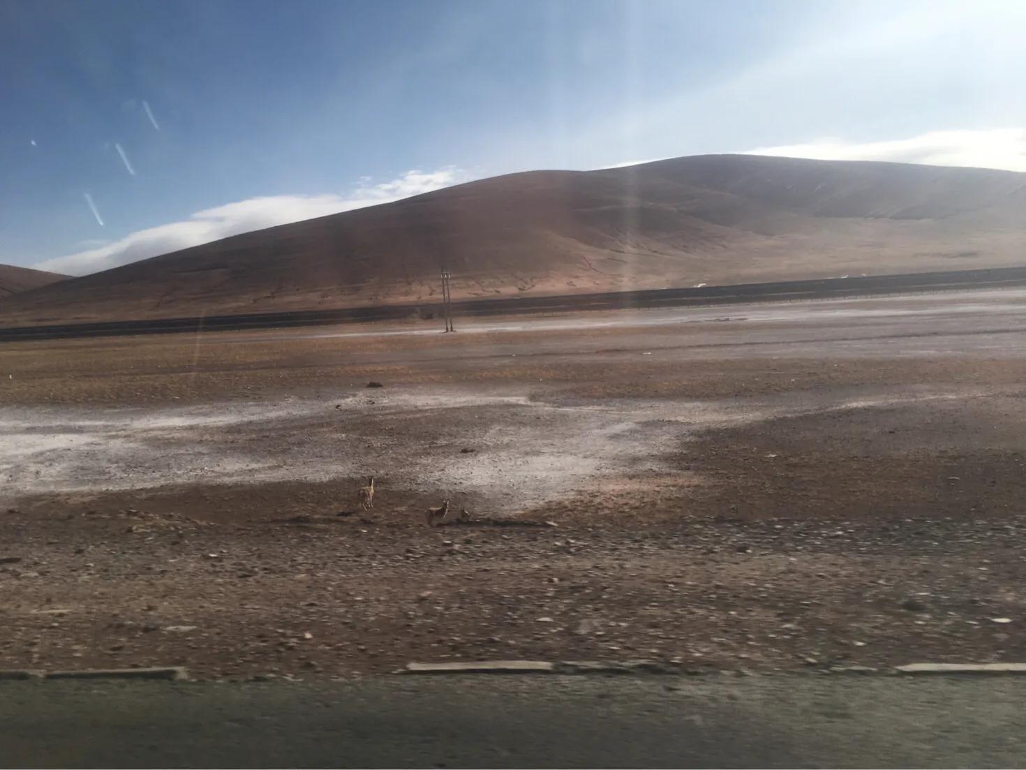 格尔木到拉萨最新路况详解及观点论述