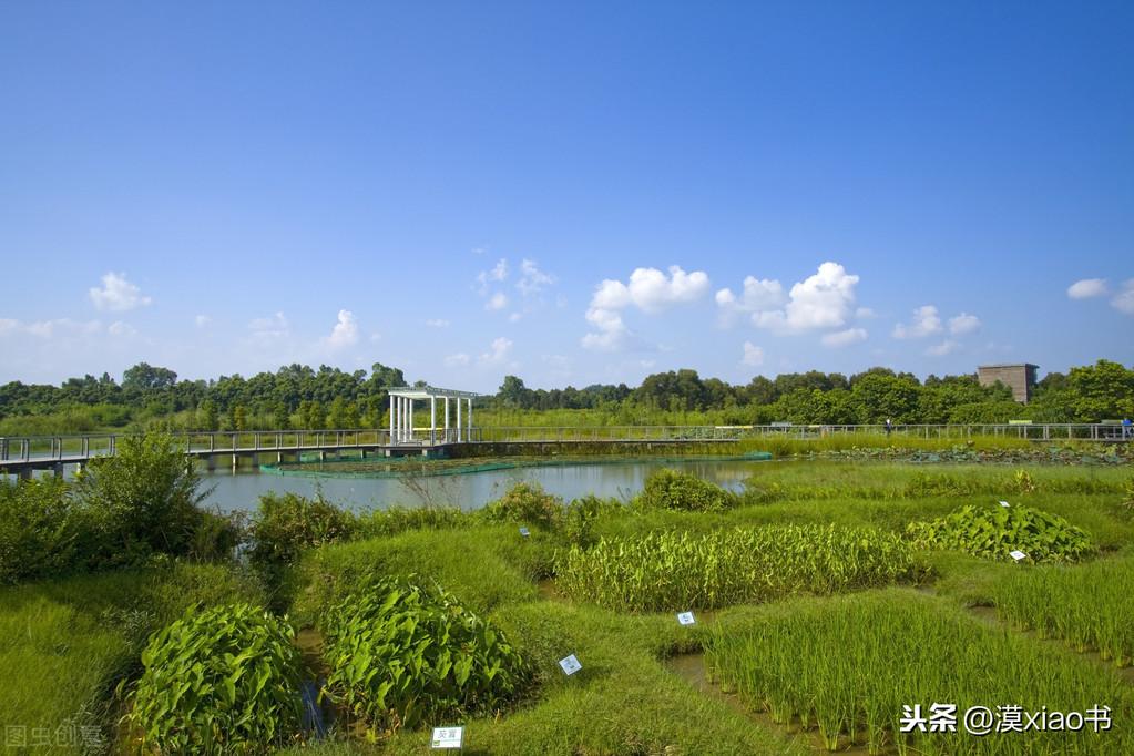 榆林最新青云科技生活家园,未来触手可及,优质房源出售