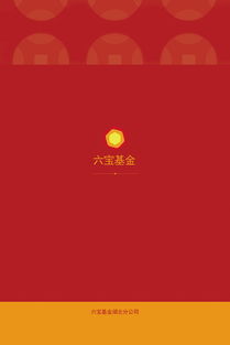 北京六宝基金最新动态及观点深度解析