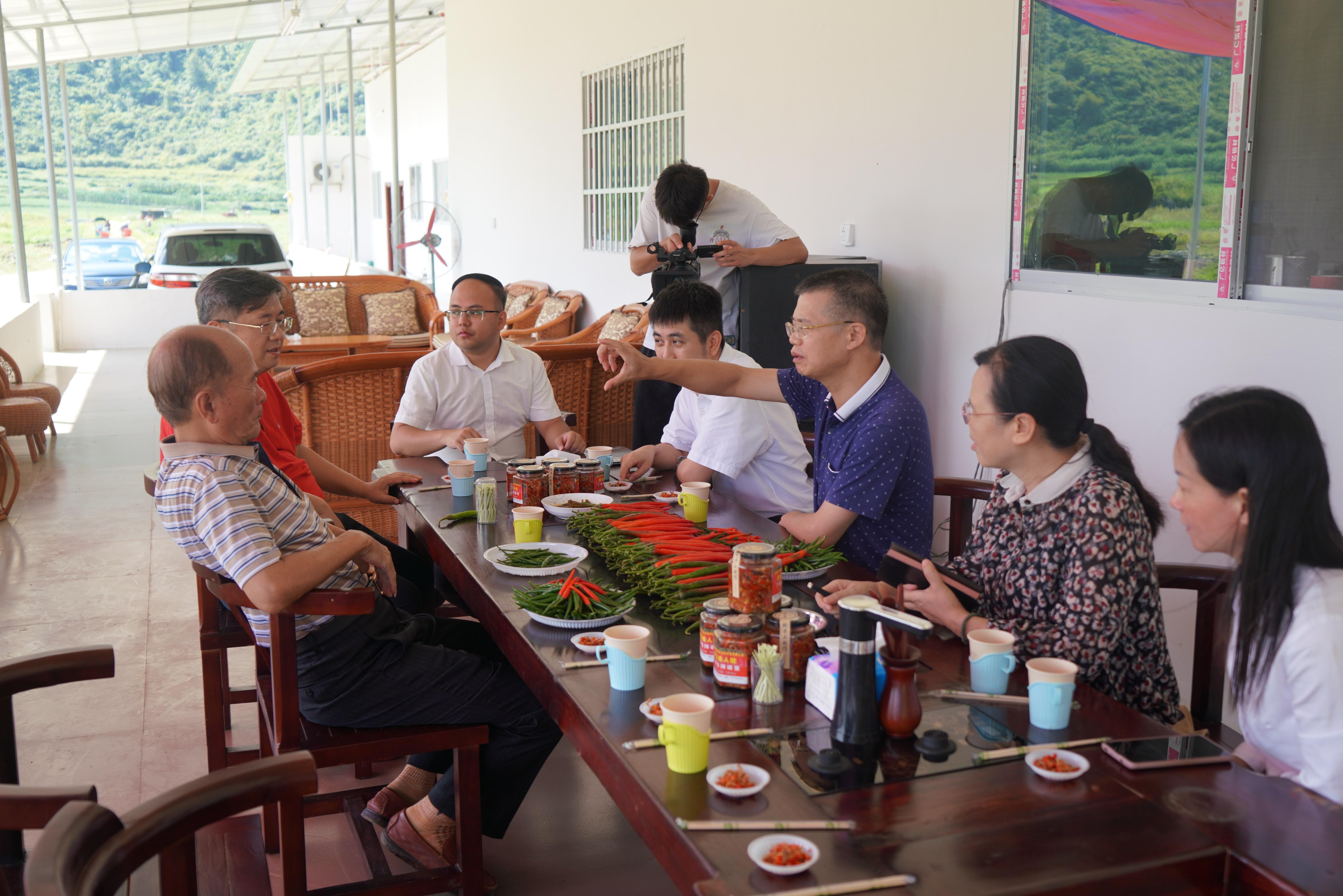 崇左罗彪最新任职揭秘,观点论述与解析