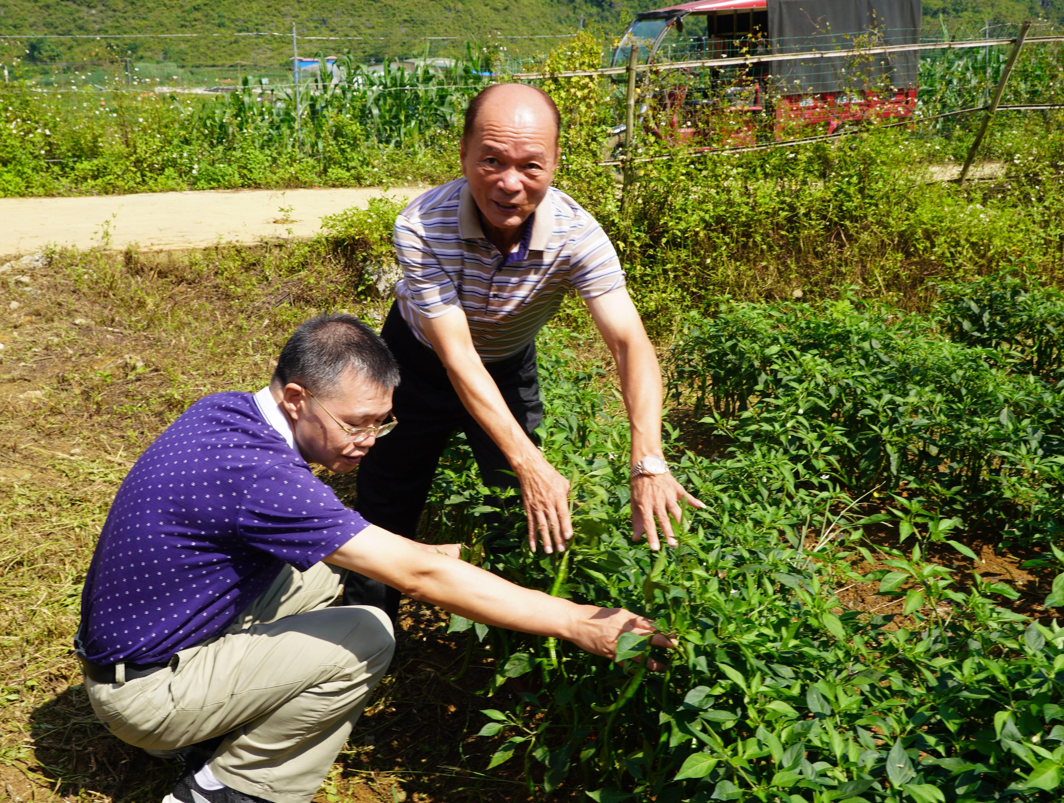 崇左罗彪最新任职揭秘,观点论述与解析