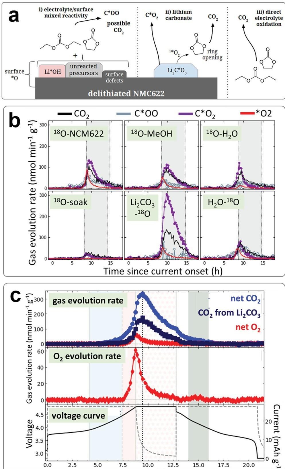 最新电化学影响因子揭秘,小巷深处的未知宝藏