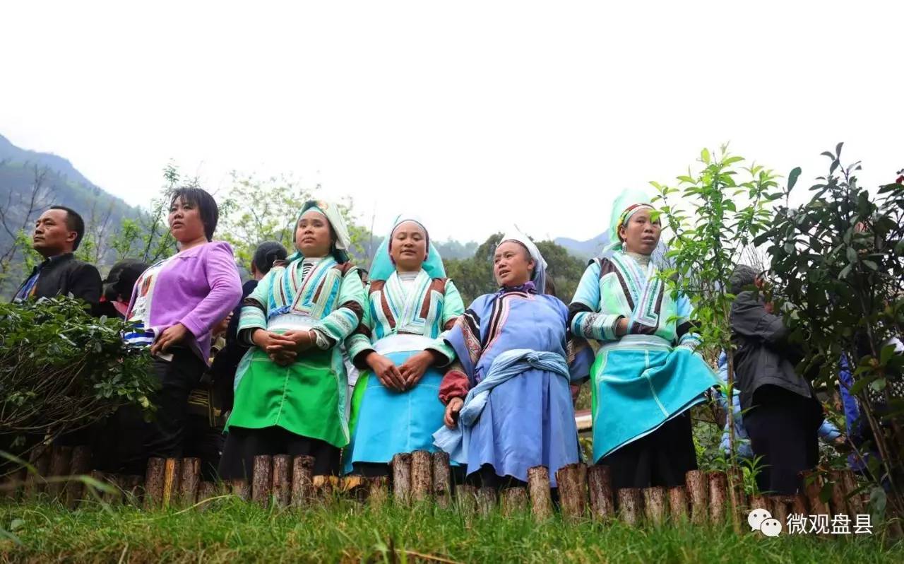 盘县保基乡最新动态,小巷深处的独特风味