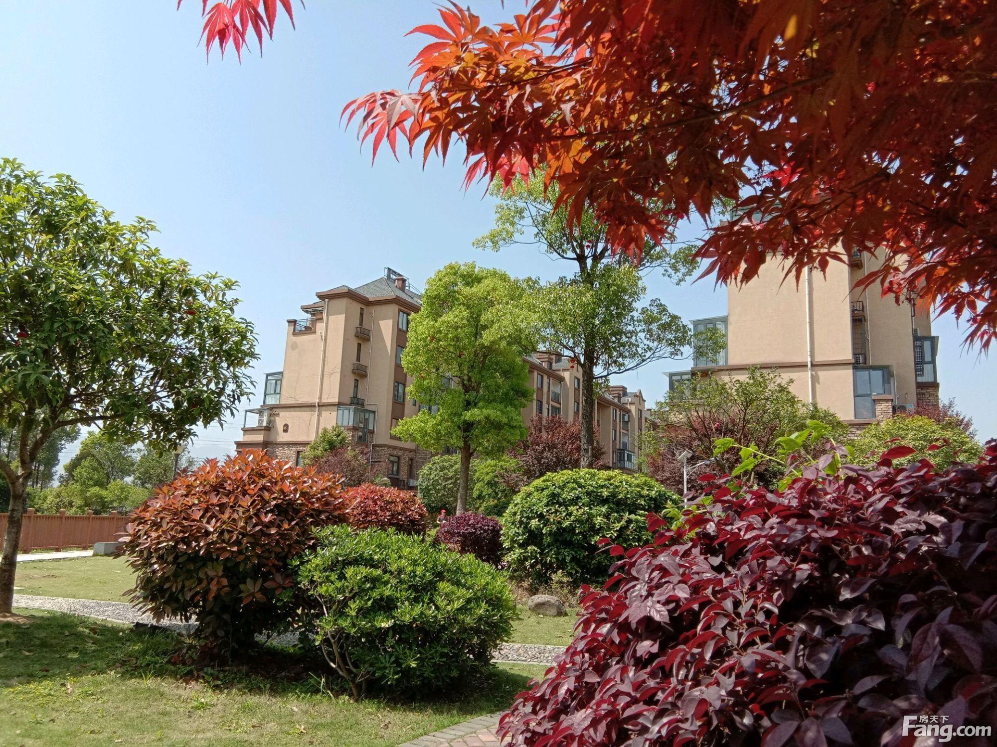 张家界最新楼盘开盘资讯,热门楼盘一览无余✨