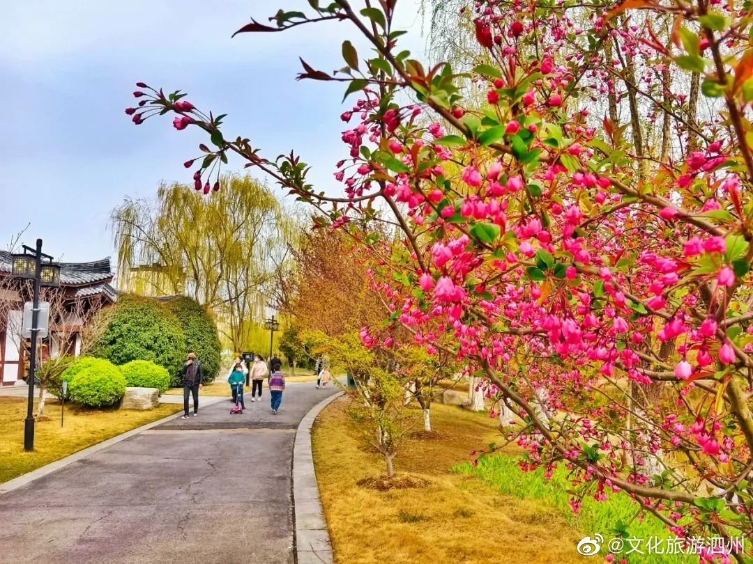 泗县春暖花开,活力四溢的春天绽放新篇章