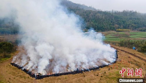 成都火灾最新消息,2024年更新报告