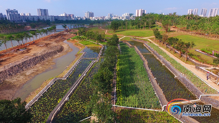 海口凤翔公园最新动态更新