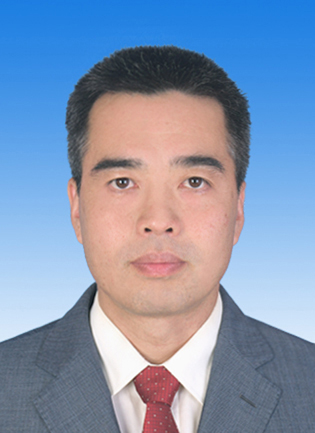 龙港镇镇委最新名单公布,观点阐述与分析