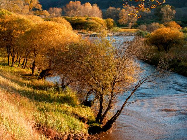 河北绿农集团绿色力量下的励志篇章最新动态