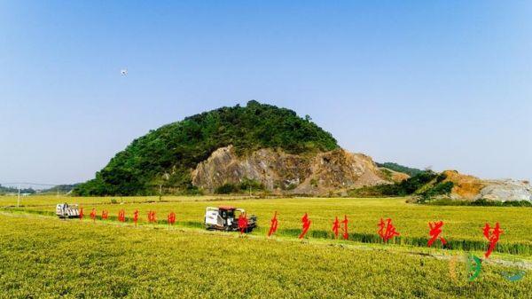 河北绿农集团绿色力量下的励志篇章最新动态