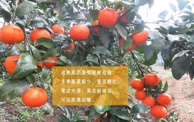 第1304页