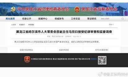 哈尔滨马旦曰的最新职务,时代印记与影响力的展现