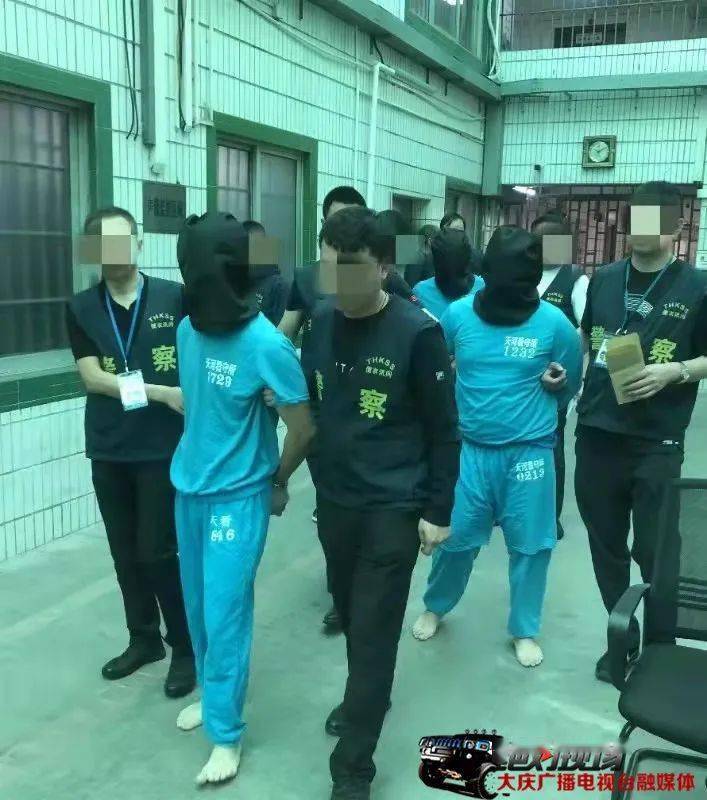 最新贩毒团伙揭秘,风险警示与应对指南