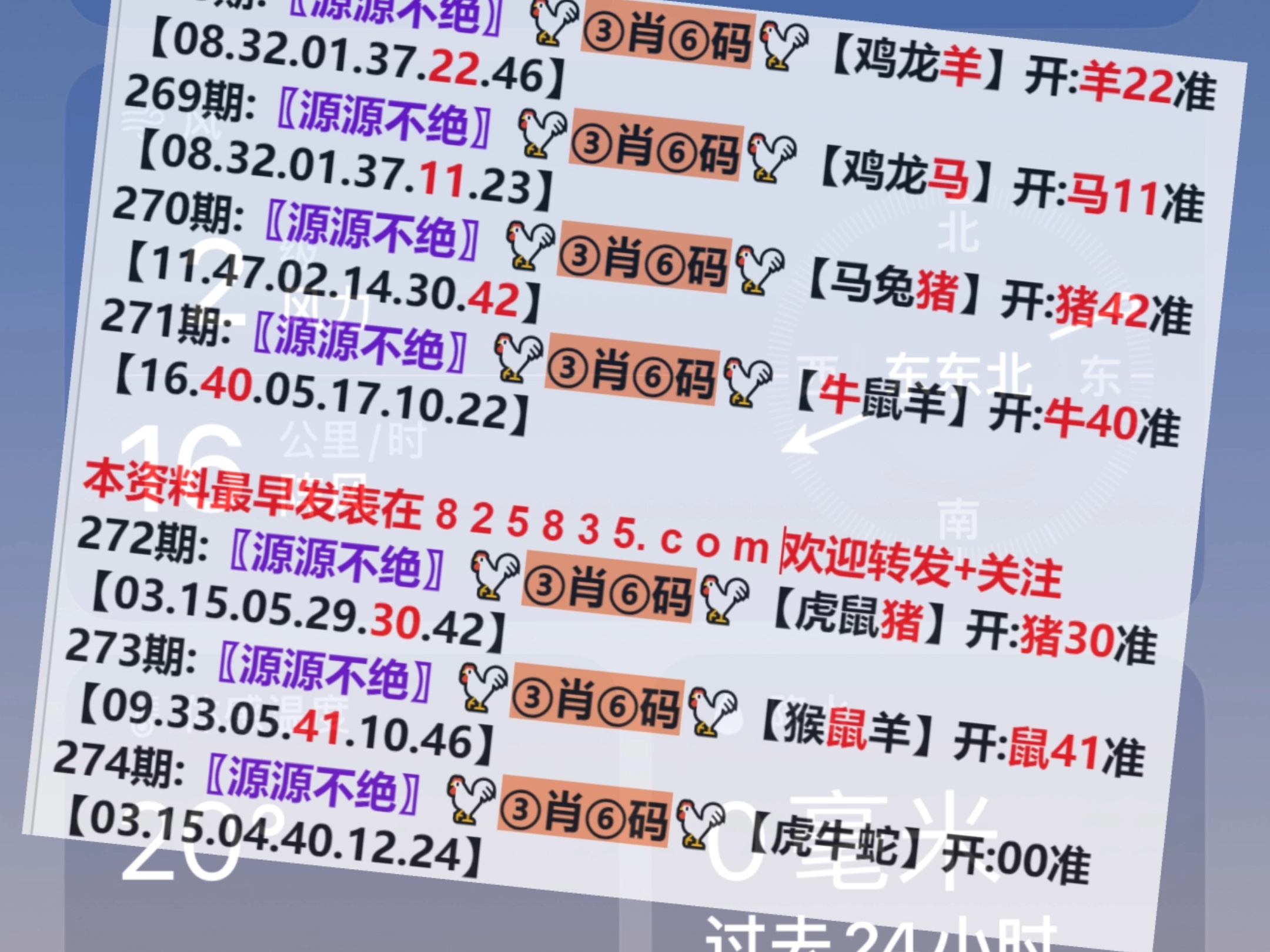 新闻中心 第247页