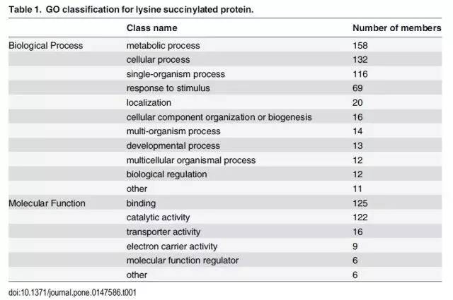 香港资料大全正版资料2024年免费,精细化方案决策_旅行者版7.612