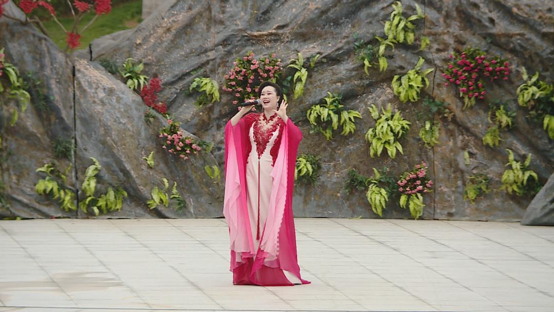 最新壮族歌曲,领略独特民族风情的美妙之旅