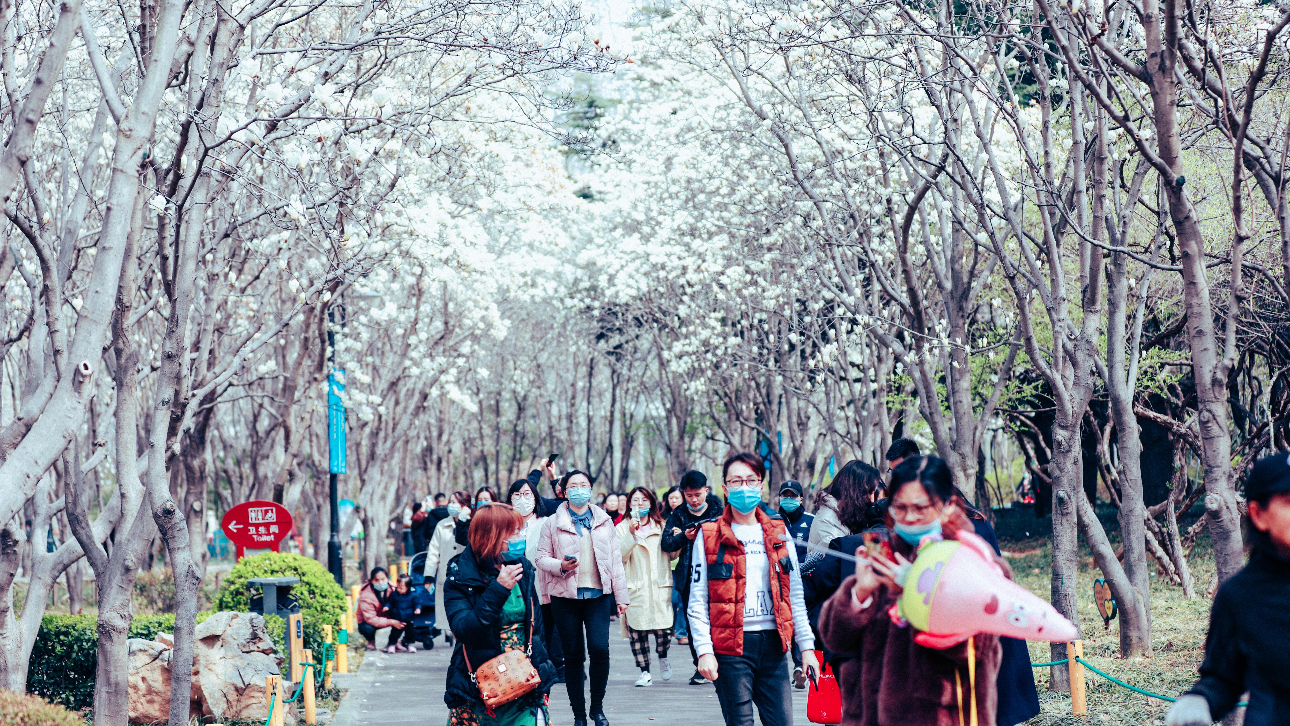 清明最新通知,学习变革,拥抱自信与成就的未来