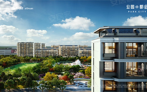城市绿肺新篇章,公园都会最新动态
