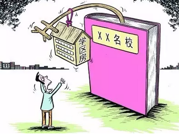 新澳2024今晚开奖资料四不像,深度研究解析_生态版19.170