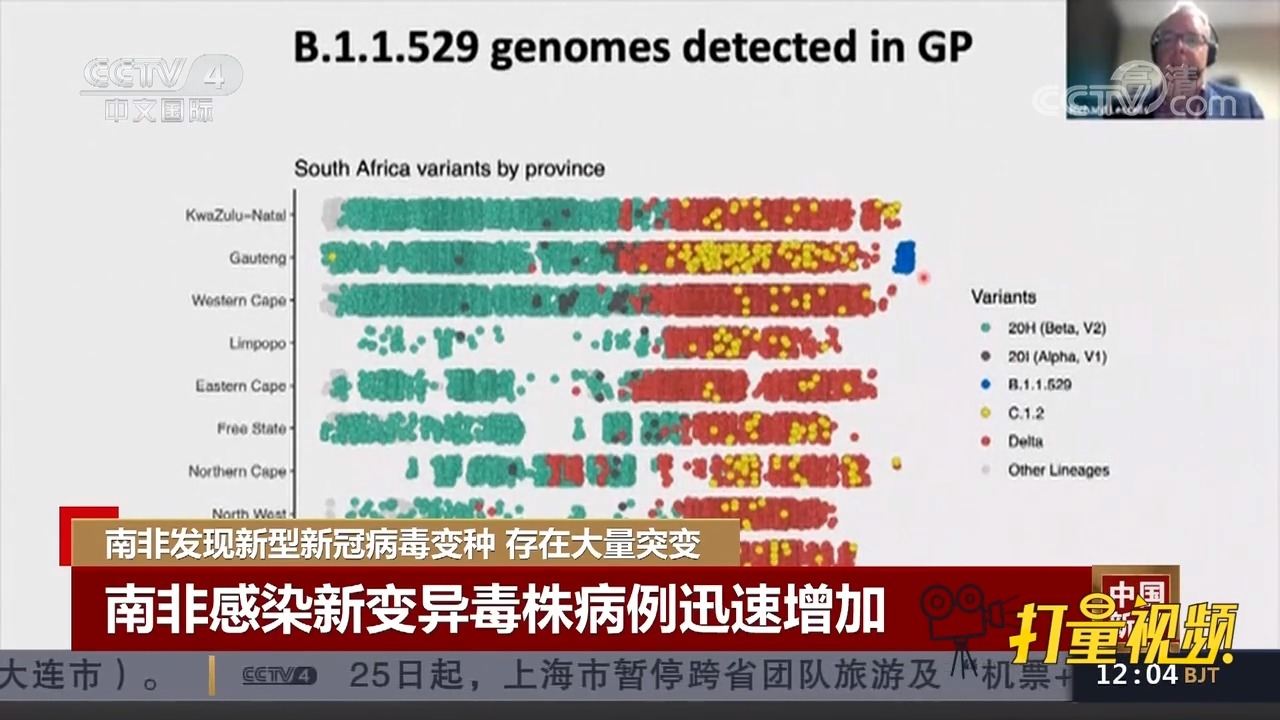 最新资讯病毒，病毒动态与温馨日常生活的交织