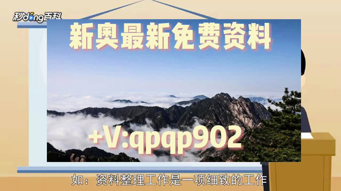 2024年正版资料大全免费看,标准执行具体评价_快速版85.468