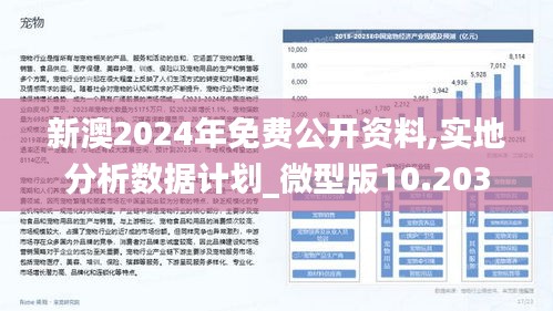 新澳2024年免费资料,互动性策略设计_时空版27.543
