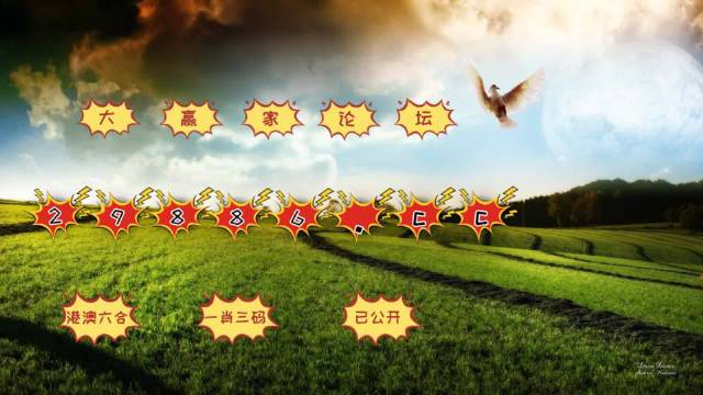 新澳门4949六开彩,经济效益_物联网版46.979