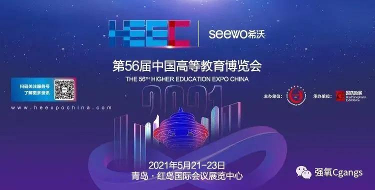 新澳门今晚精准一肖,安全性方案执行_艺术版16.210