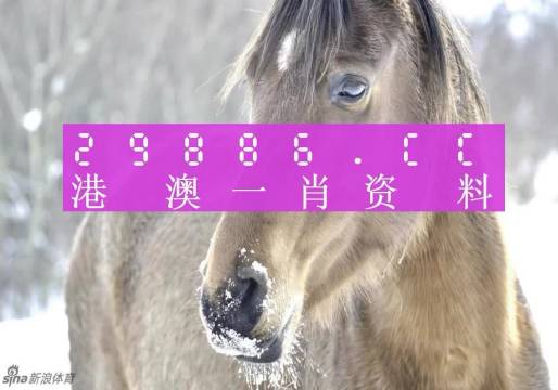 澳门一肖一码100‰,精准分析实践_极致版25.581