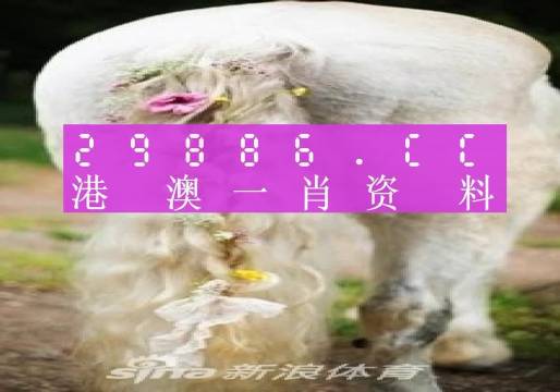 澳门四不像精准一肖一码,新式数据解释设想_未来版85.652